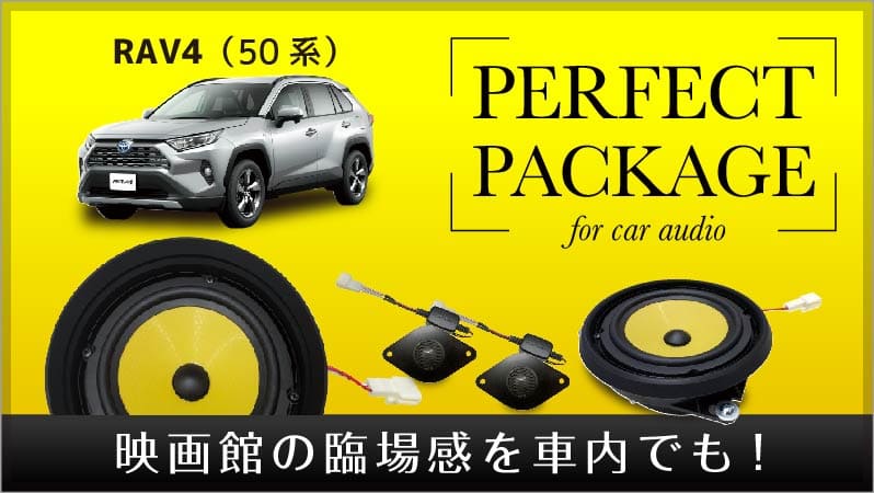 パーフェクト・パッケージ/トヨタ RAV4 (50系)